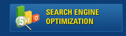 search engine optimization, search engine optimization in delhi